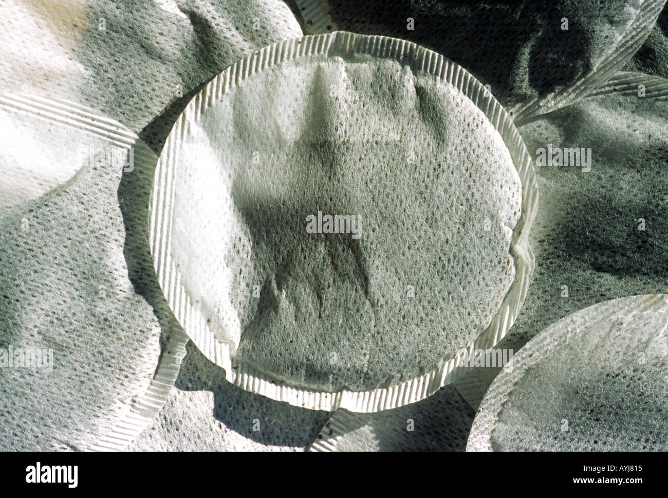 Round teabags Stock Photo