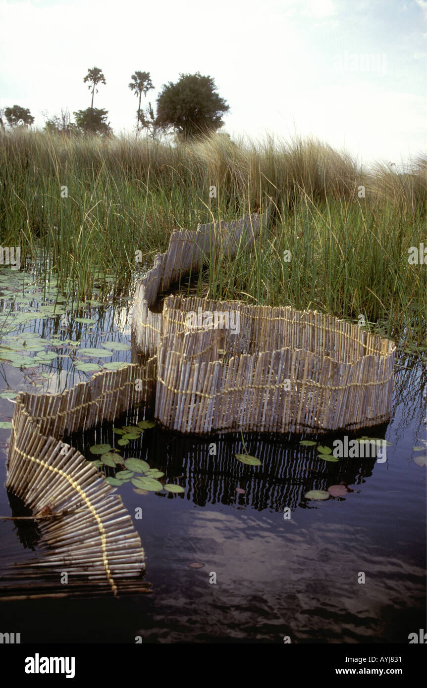 Traditional fish trap on the main river channel in Okavango Delta