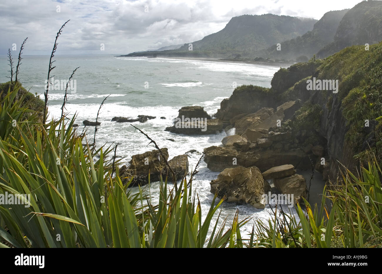 Pancake Rocks, Punakaiki in the South Island of New Zealand Stock Photo