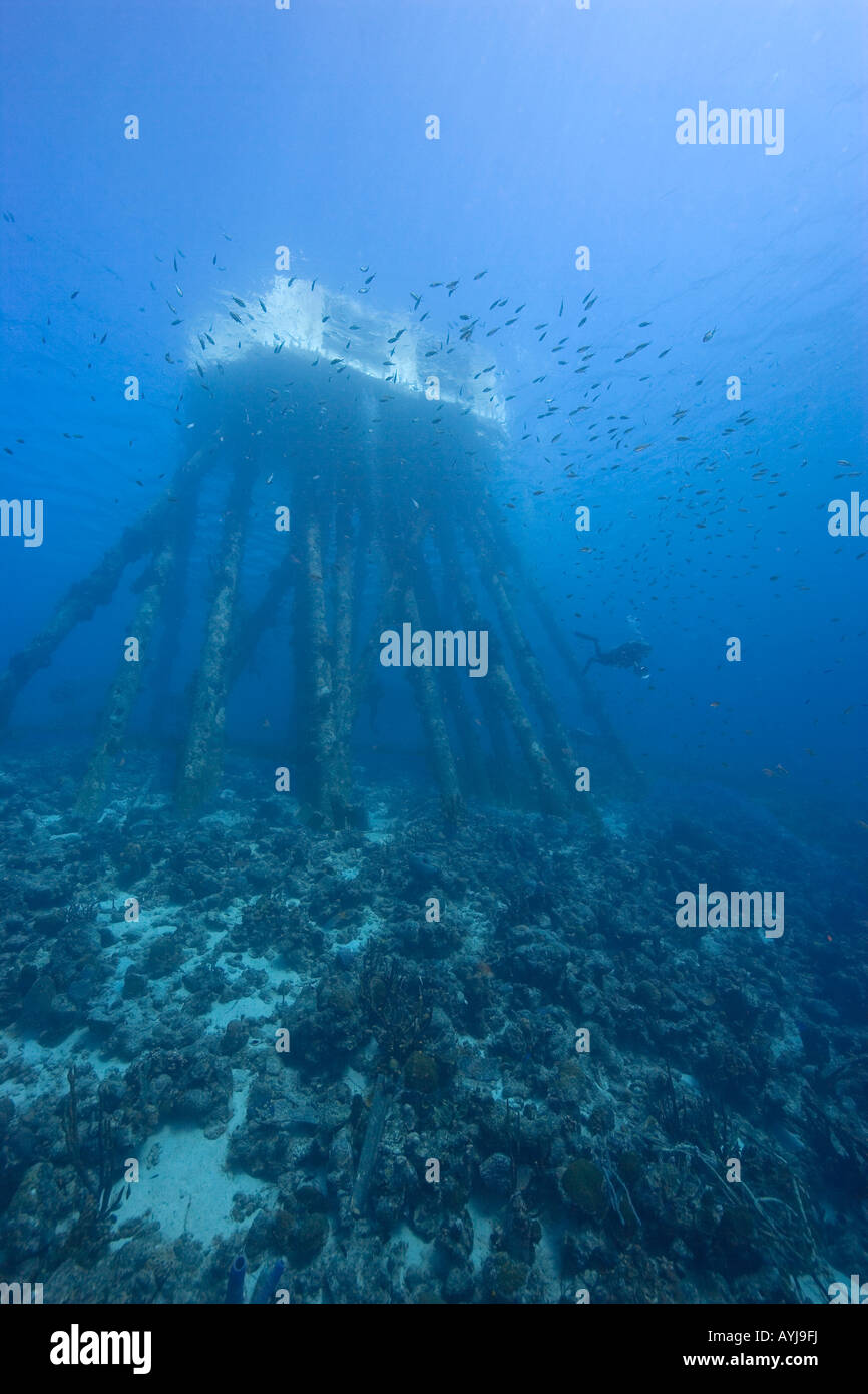 Salt Pier structure underwater Bonaire Netherland Antillies Stock Photo