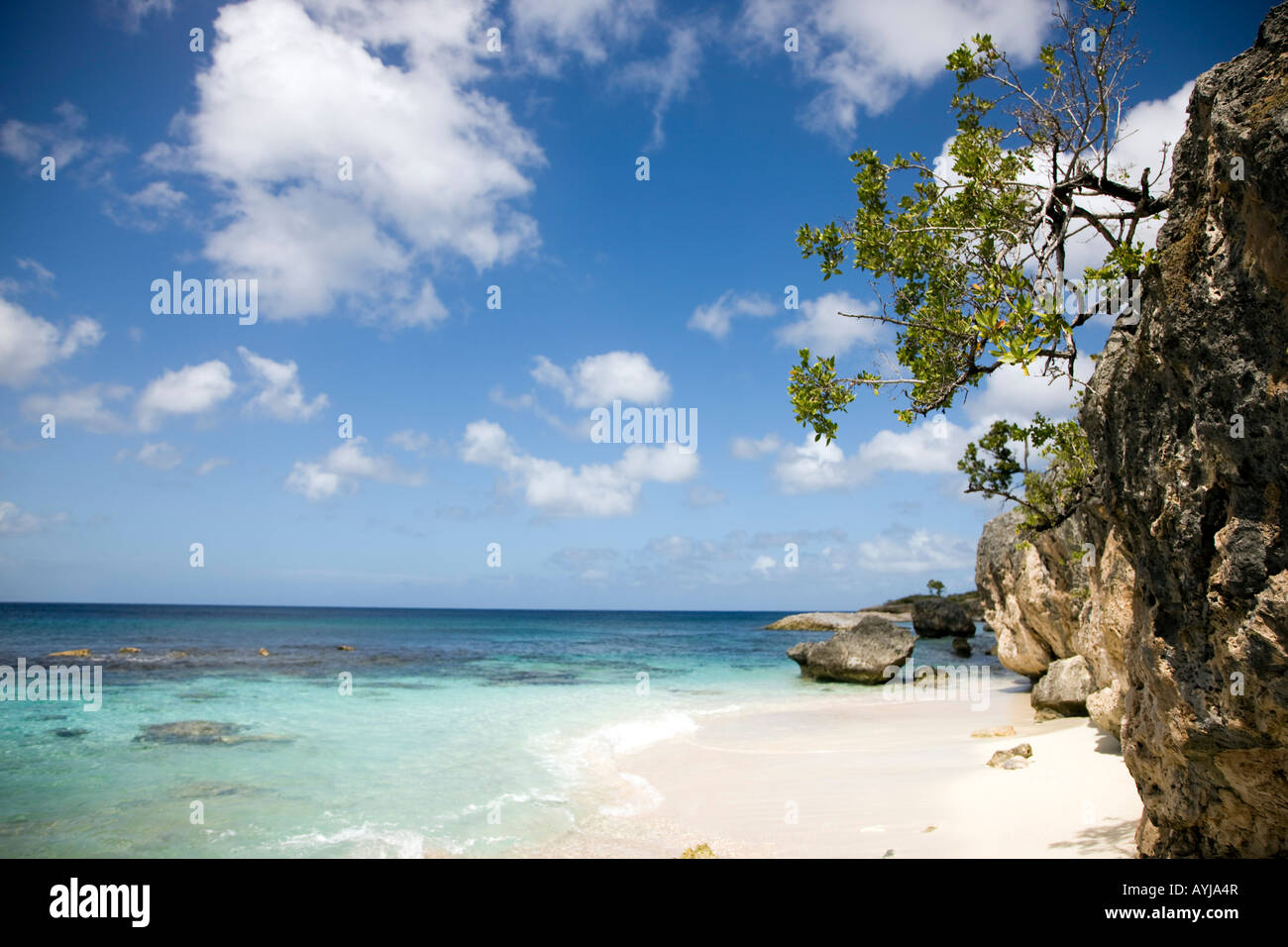 Beach at Slagbaii National Park Bonaire Netherland Antillies Stock Photo