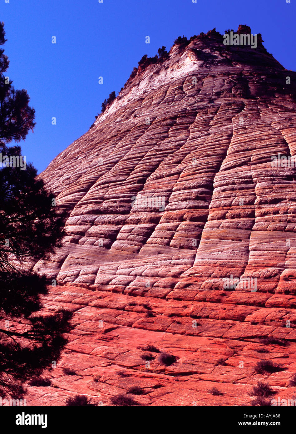 Checkerboard formation hi-res stock photography and images - Alamy