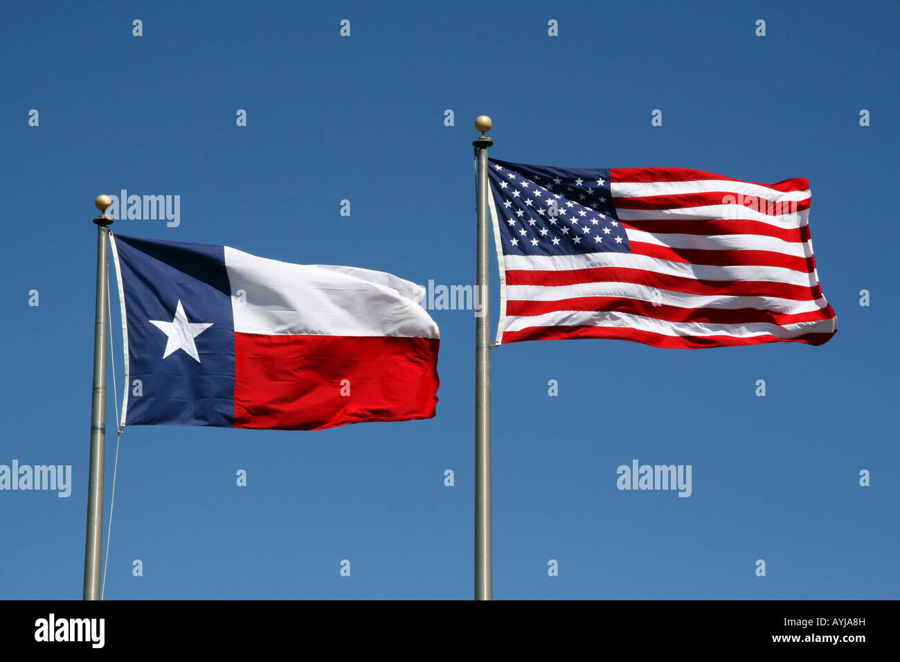 A Texas and US flag boldly flapping in the wind Stock Photo
