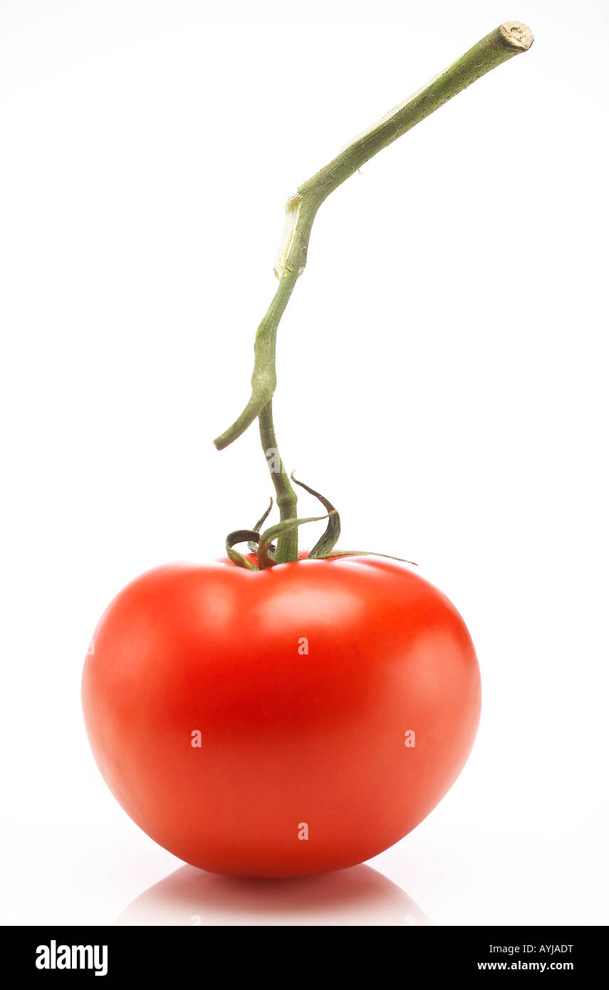 Single red ripe tomato water with stem attached on a white background ...