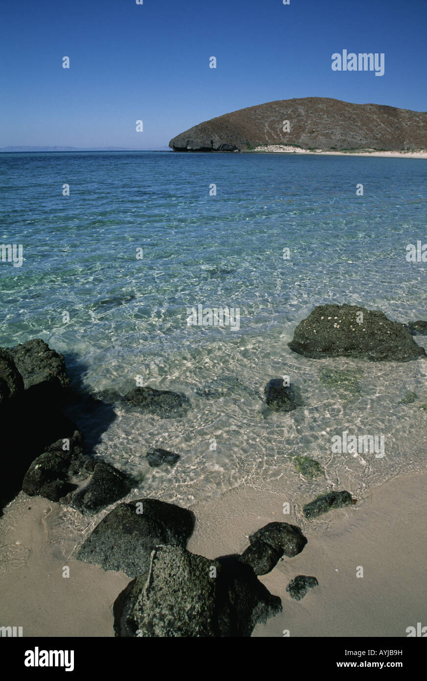 Near La Paz Sea of Cortez Bay beach View on shoreline Sand Sun on green