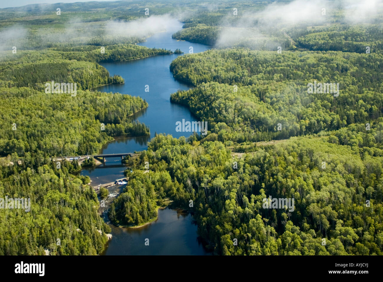 Aerial photo forest hi-res stock photography and images - Alamy