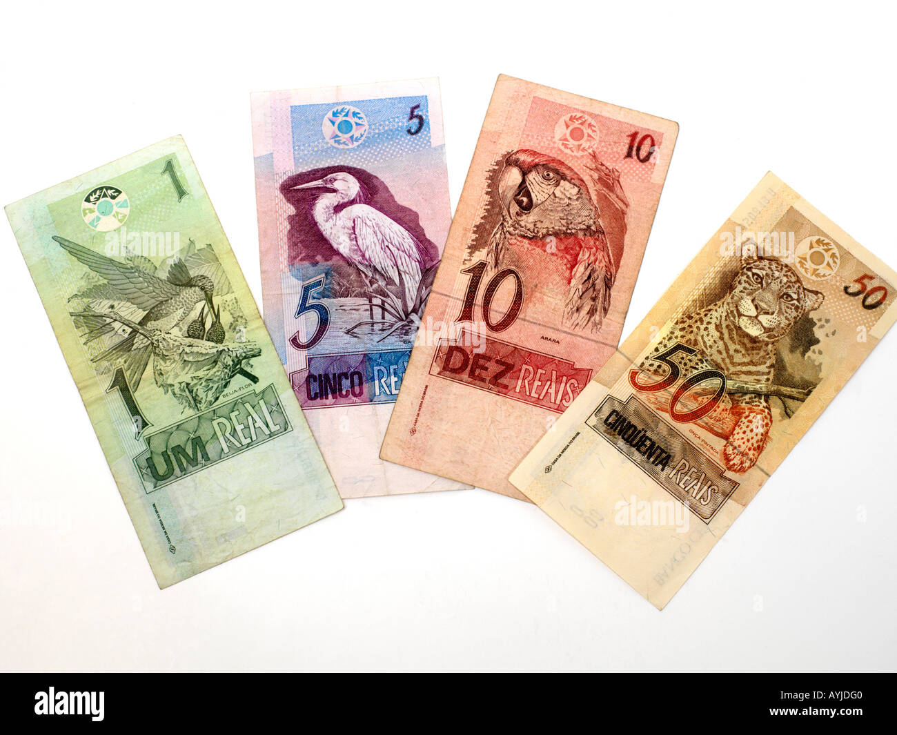 Brazilian Money Notes Stock Photo Alamy