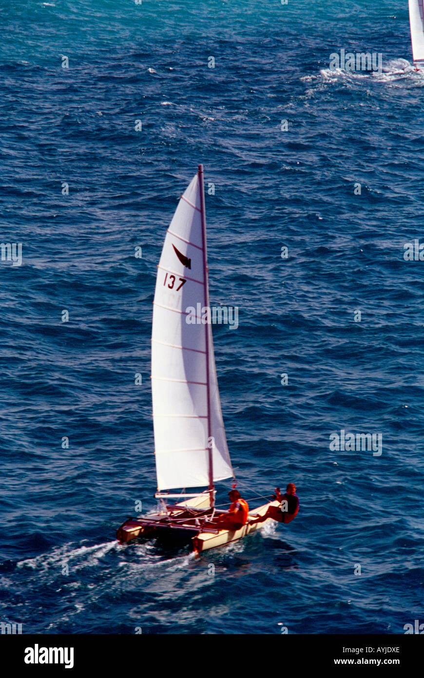 Dubai UAE Catamaran Sailing Off The Emirates Stock Photo Alamy