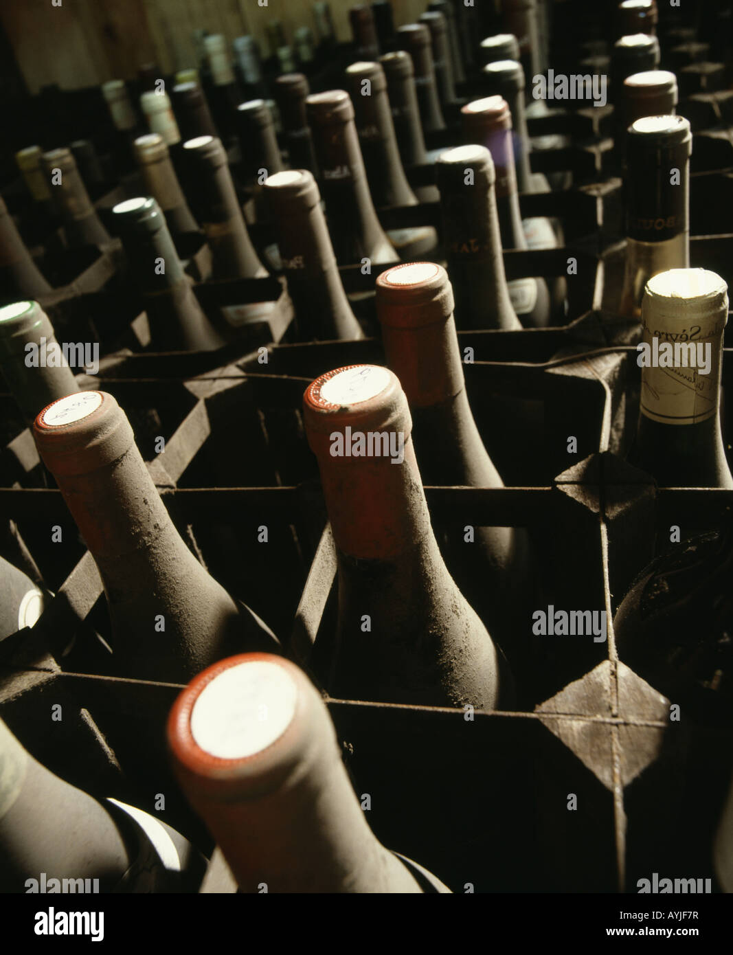 Wine bottles stored on side in rows Dusty neck and cork ends Metal