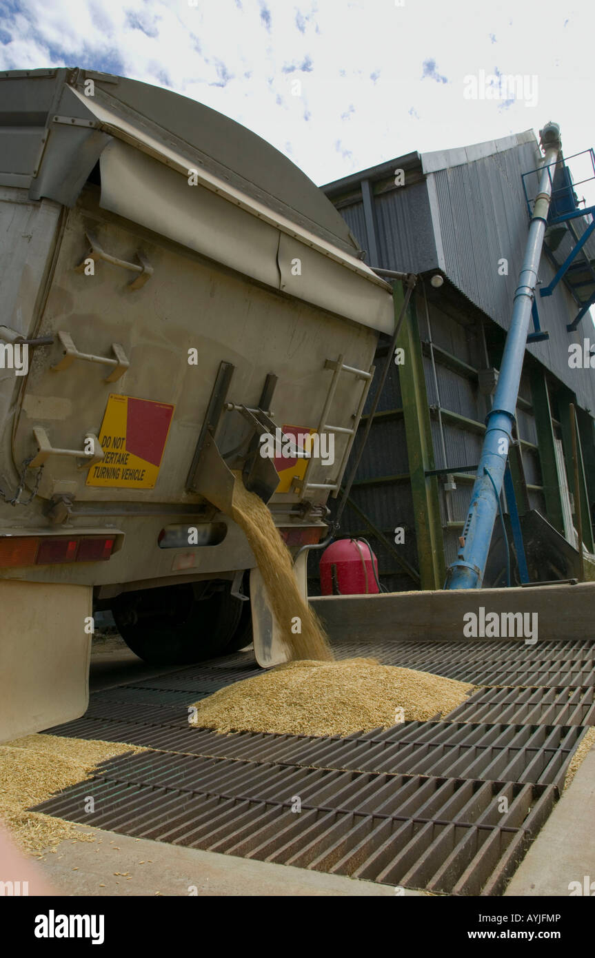 Grain truck australia hires stock photography and images Alamy