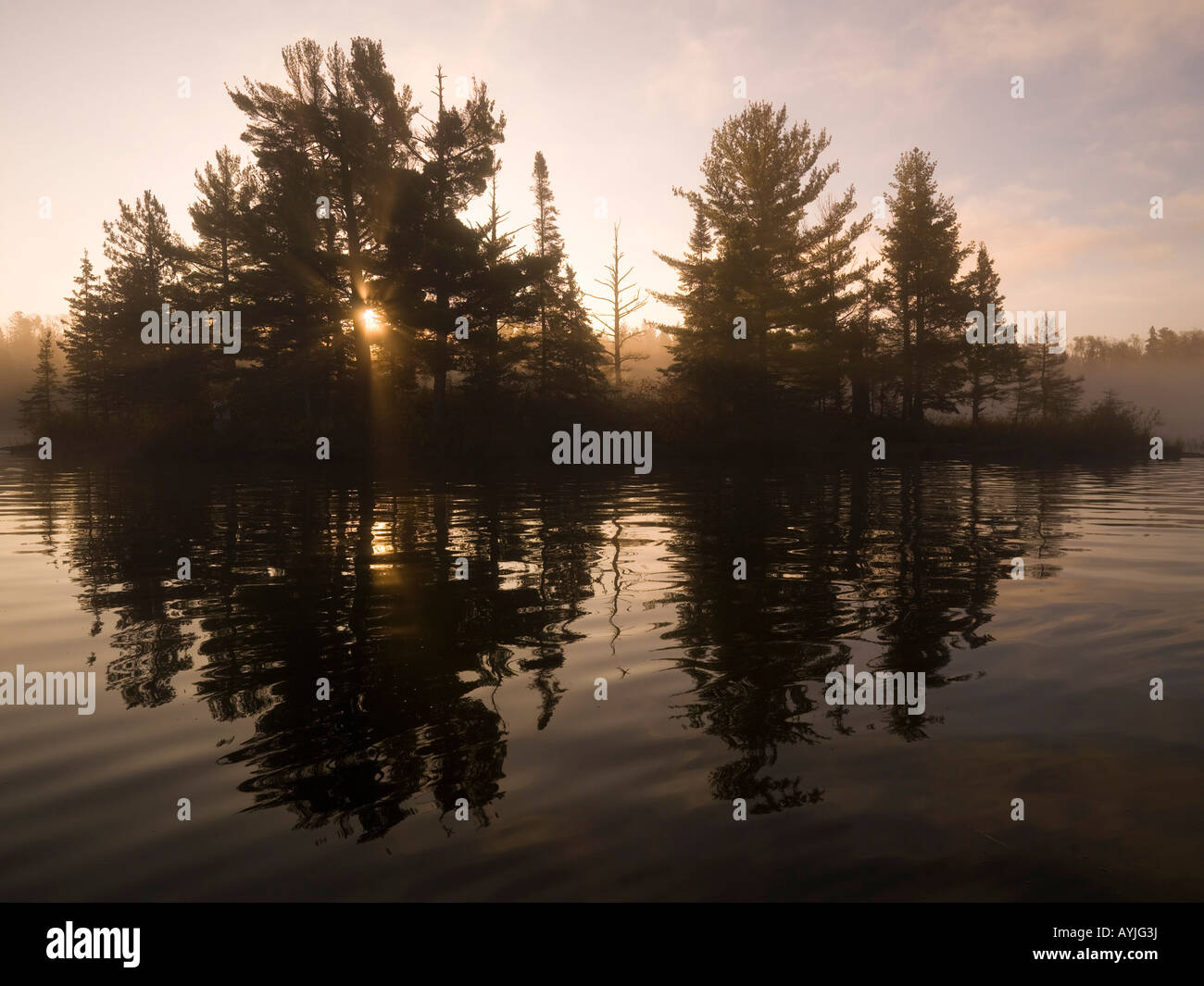 Trees reflected in a lake Stock Photo - Alamy