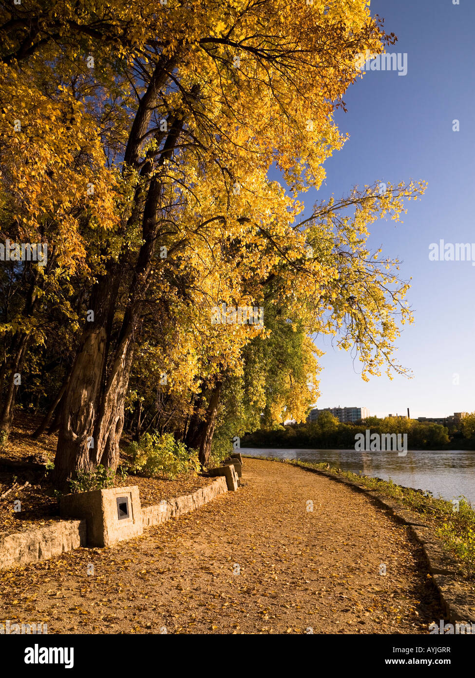 Path along a river, The Forks, Winnipeg, Manitoba, Canada Stock Photo ...