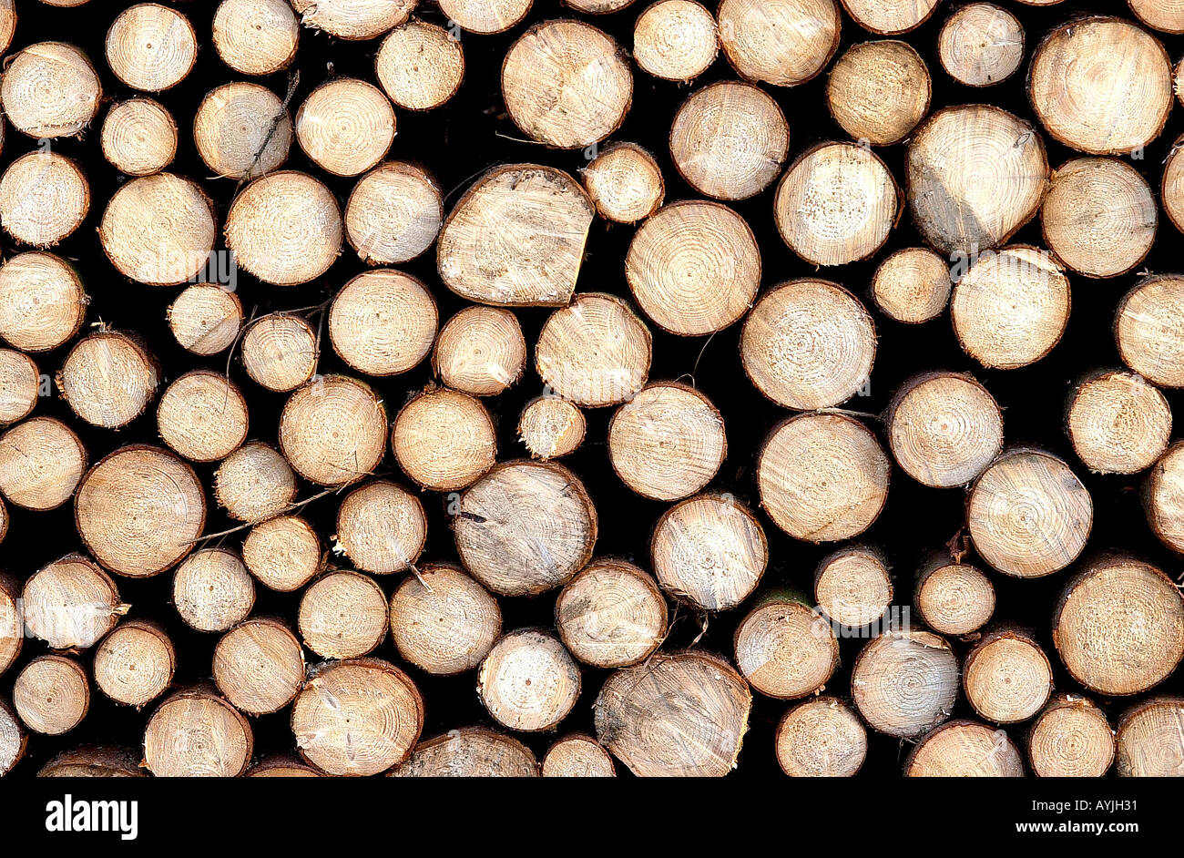 Holzstapel Stock Photo