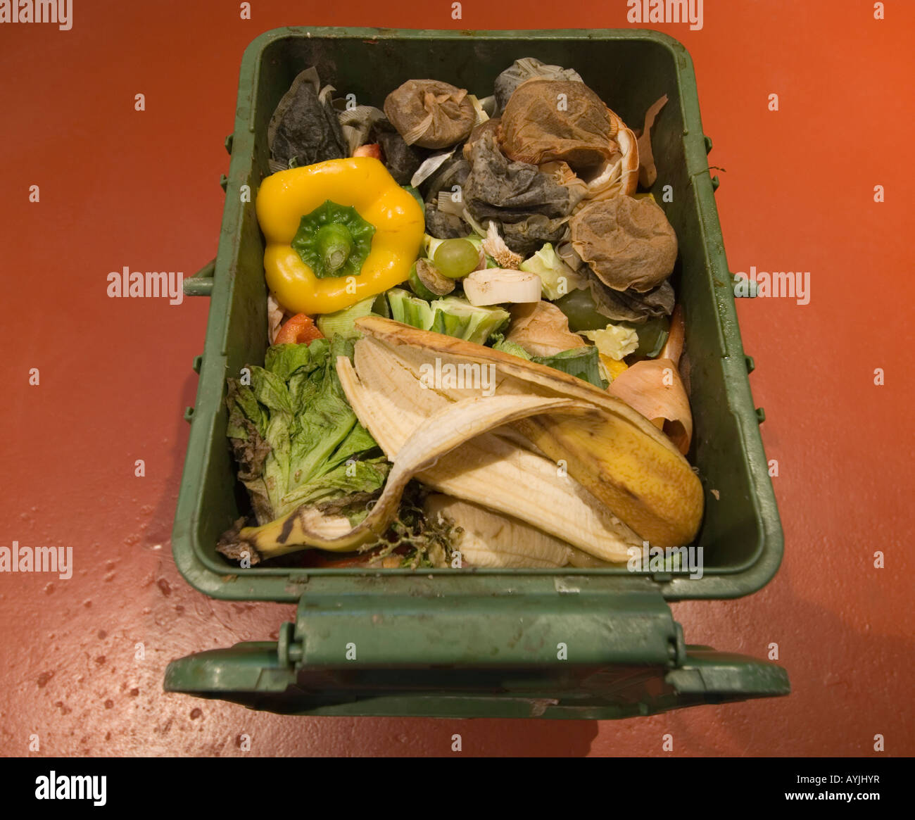 waste green food in a kitchen compost bin Stock Photo