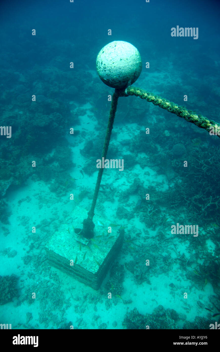 Environmentally friendly mooring design with subsurface float that keeps chains and ropes off fragile surrounding coral reefs Stock Photo