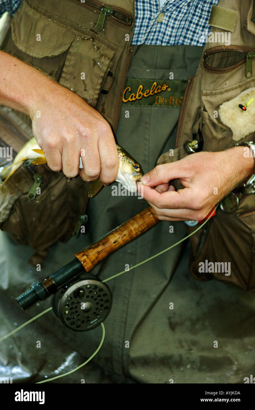 Fly Fisherman Removing Hook from Rainbow Trout Stock Photo