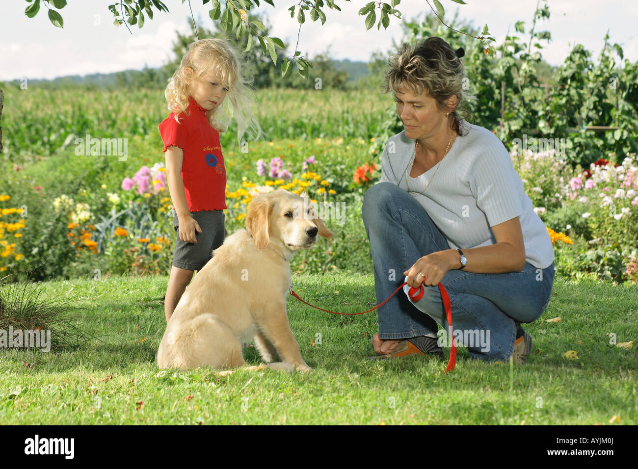 Young Golden Retriever with woman and child in the garden Stock Photo ...