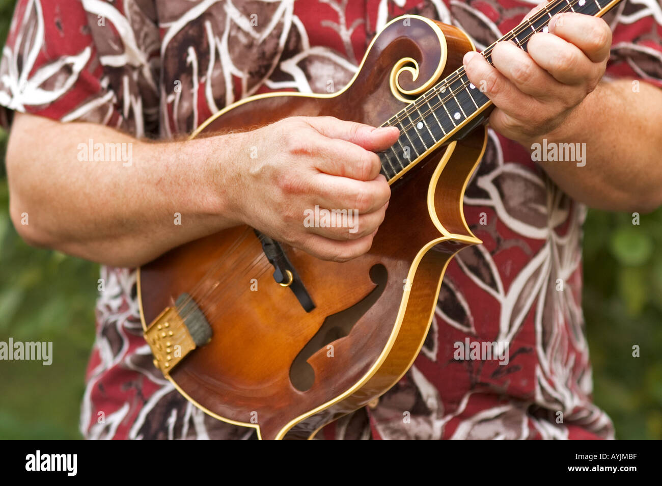 Mandolin Being Played Corydon Indiana Stock Photo Alamy