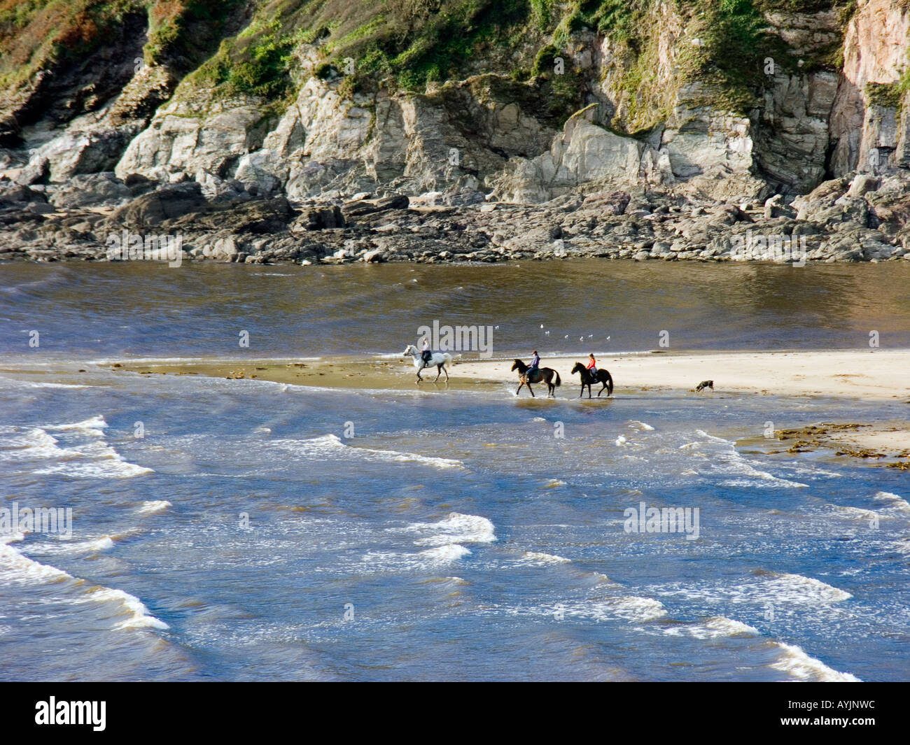 Horses Riding Devon People riding horses at the water's edge on picturesque Mothecombe ...