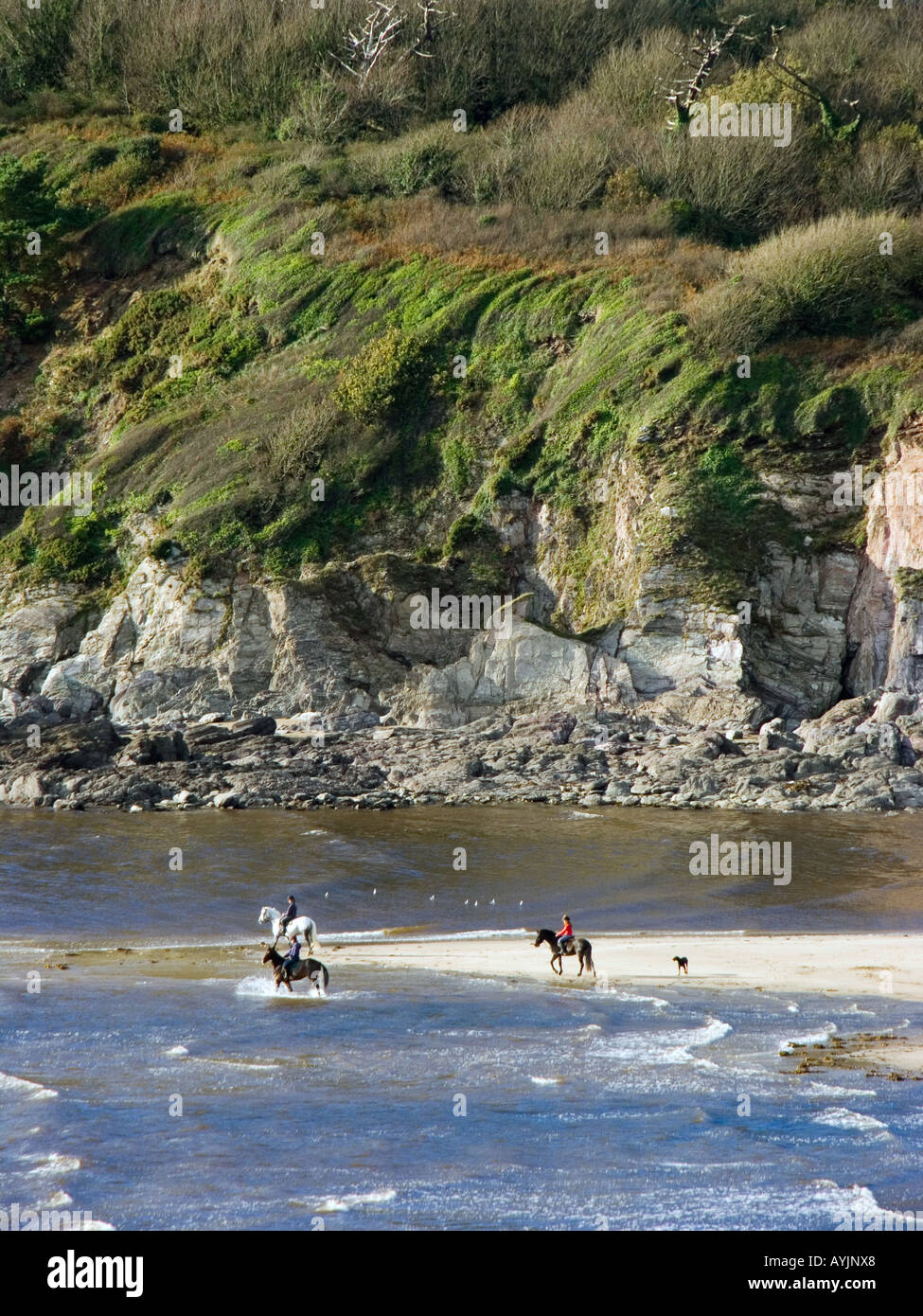 People horse riding on Beach, a tidal estuary and an AOBN in