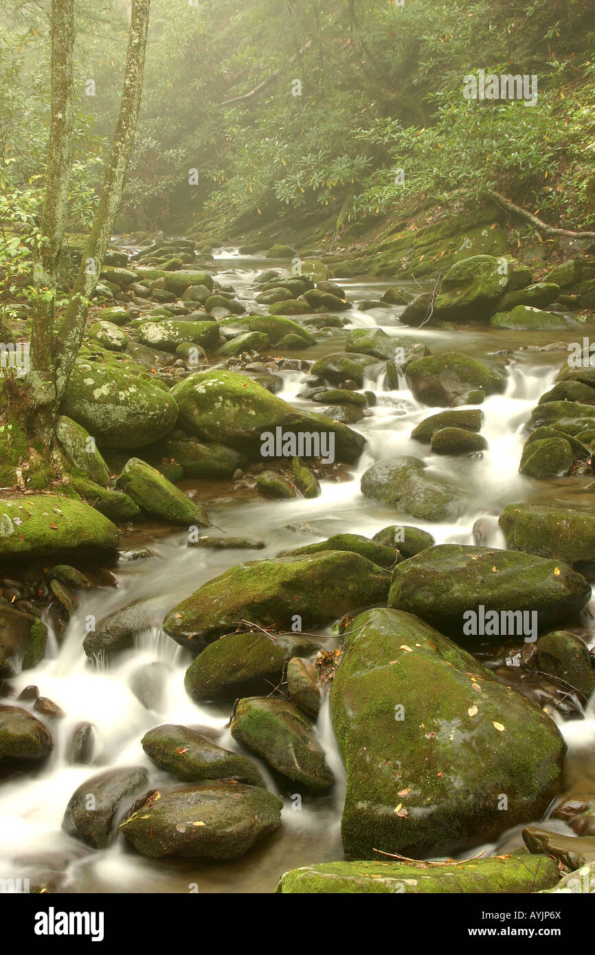 Stream by Roaring Forks Nature Trail.Great Smoky Mountains Stock Photo