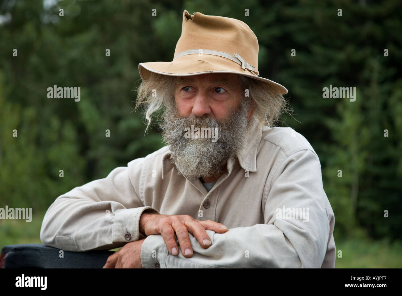 James Tweedie well known environmentalist and campaigner Alberta Canada Stock Photo