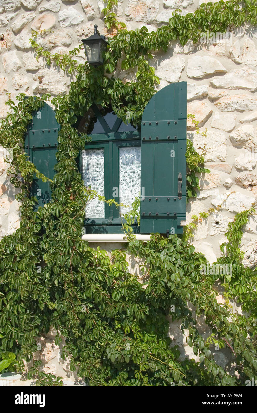 window with blue shutters and ivy, Zante, Greece Stock Photo