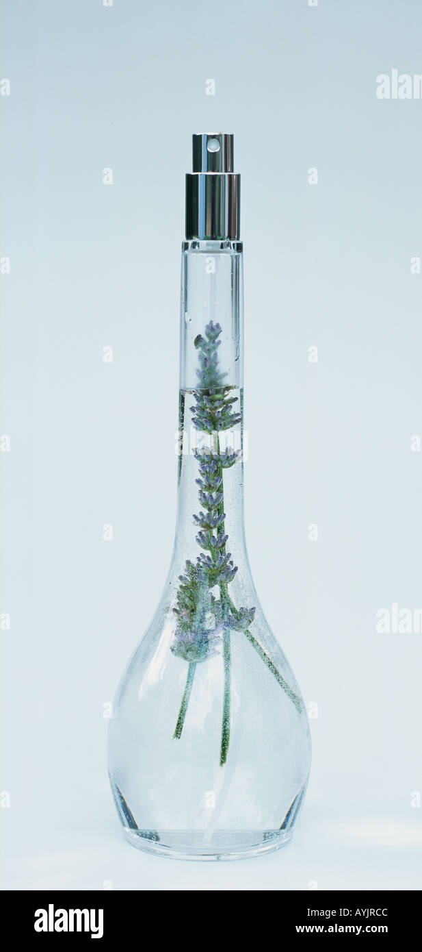 Spray bottle containing lavender sprigs Stock Photo