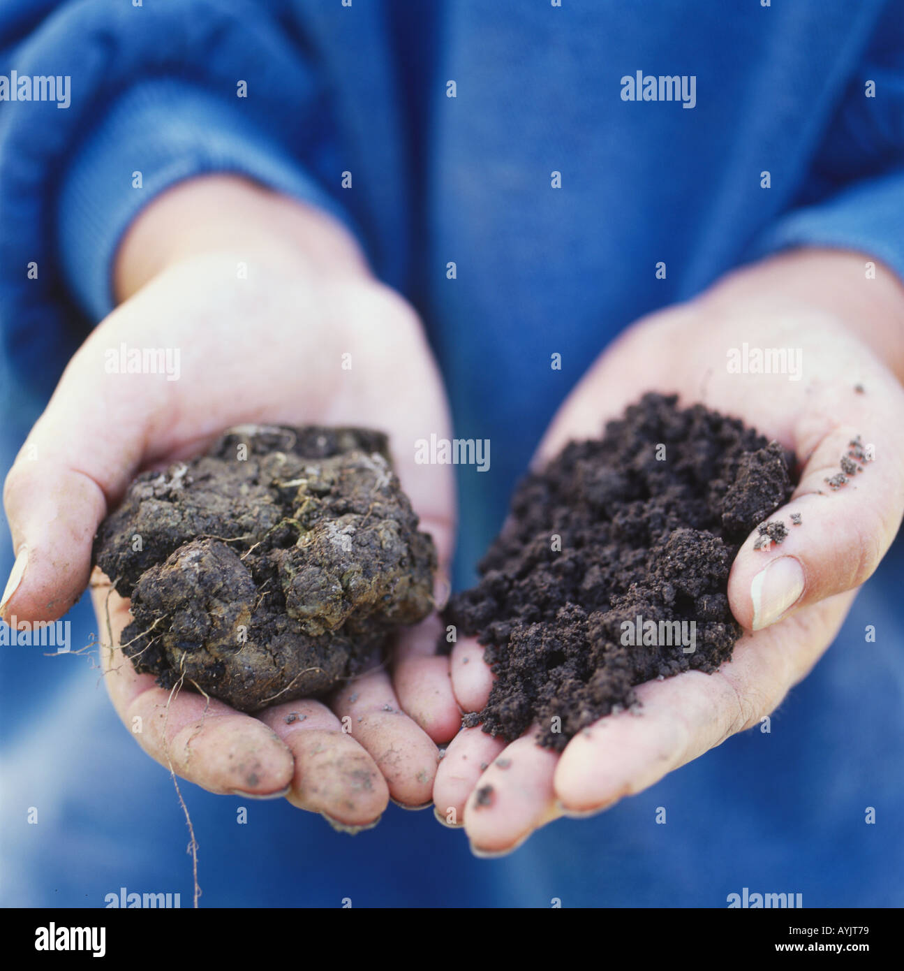 types of soil black soil