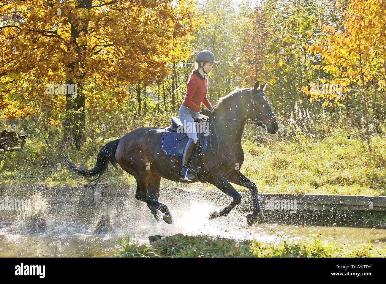 German female equestrian hires stock photography and images Alamy
