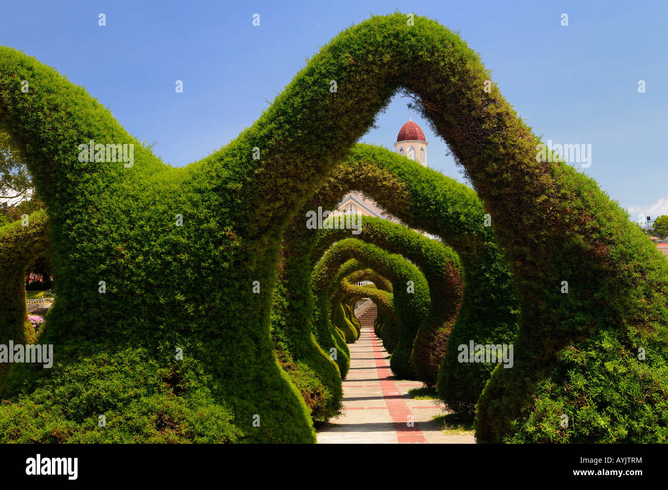 Topiary garden archways and path in Zarcero Costa Rica leading to stairs and San Rafael catholic church Stock Photo