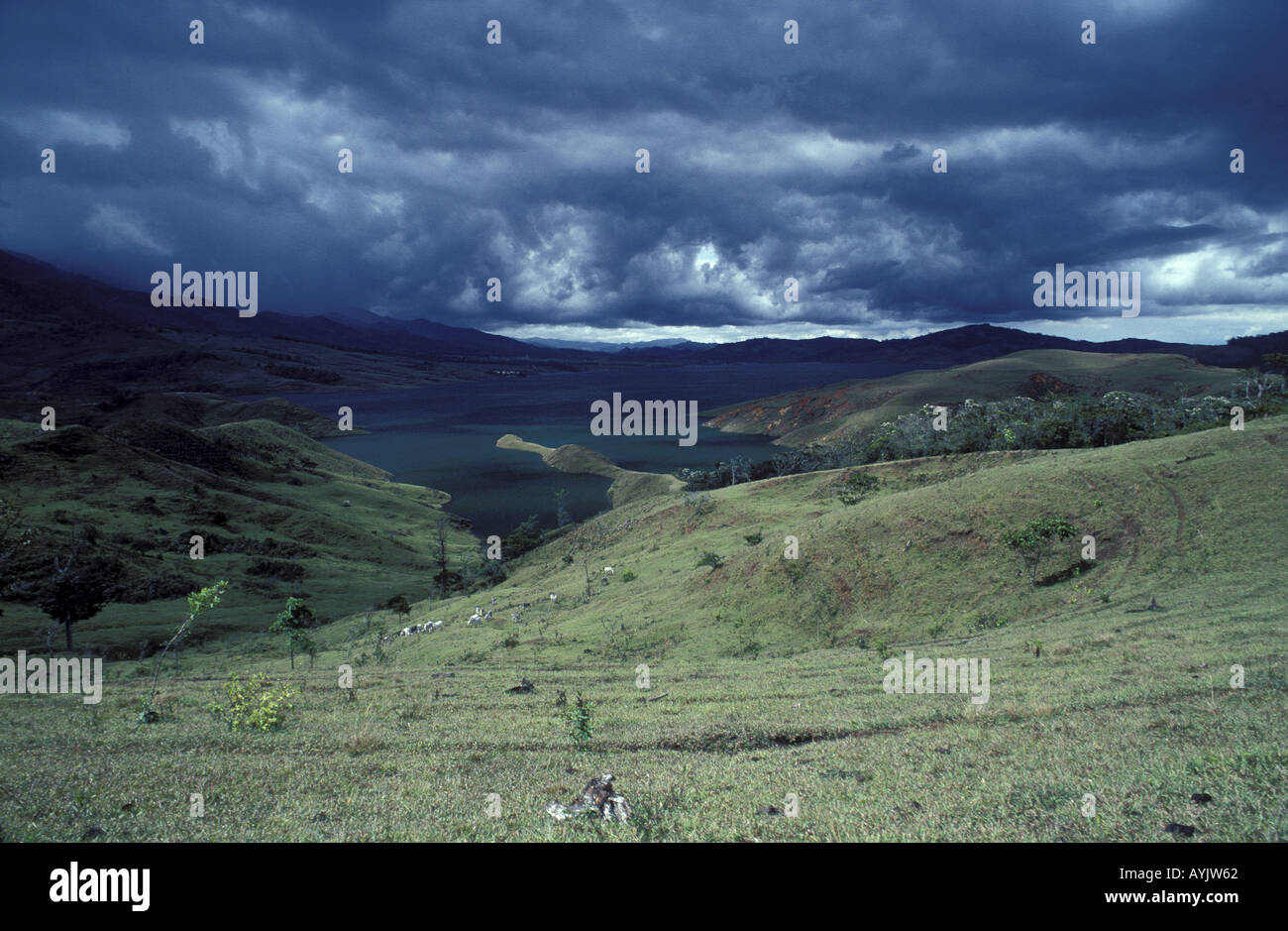 Huegellandschaft Calima Territorium Kolumbien Stock Photo Alamy