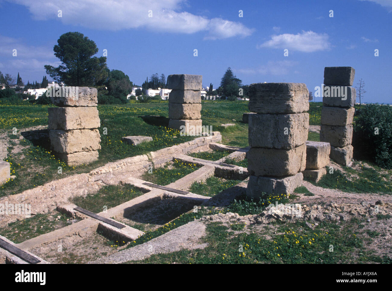Punic carthage hires stock photography and images Alamy