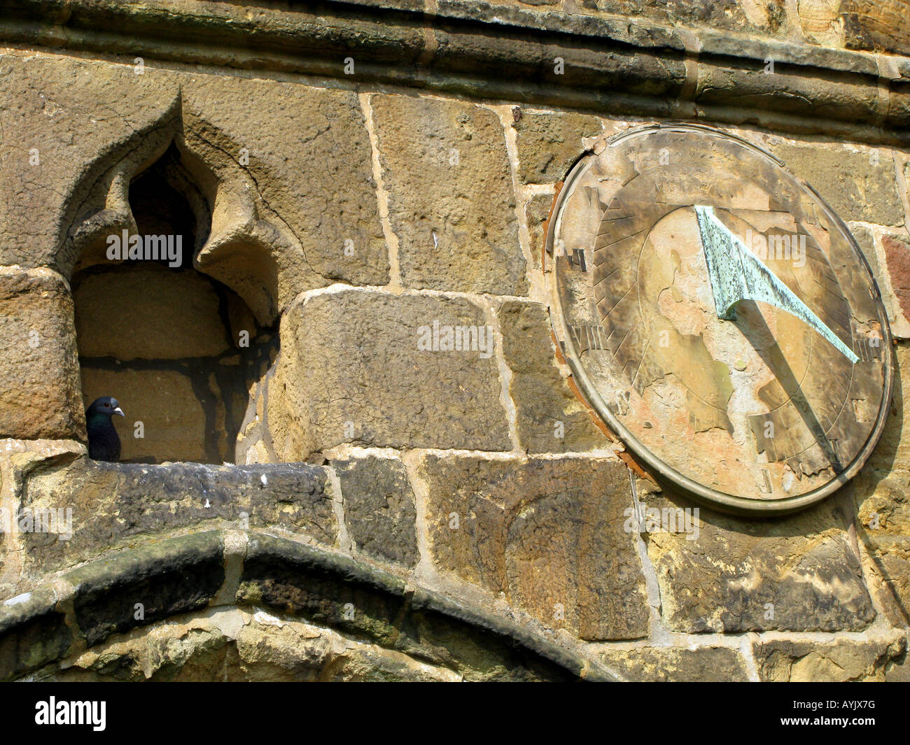 Sundial and pigeon on Bakewell All Saints church Derbyshire Peak District National park, England Stock Photo