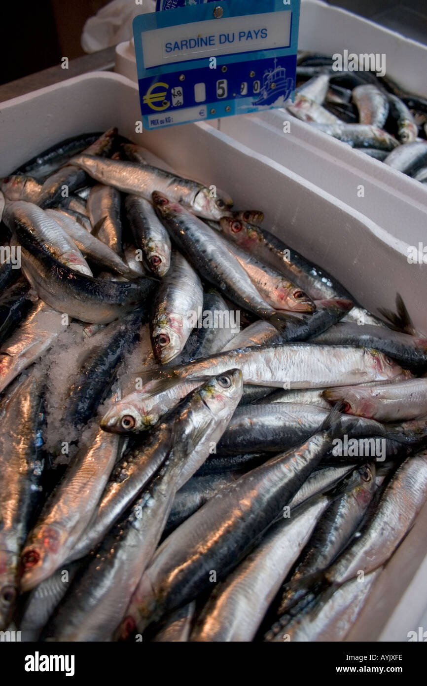 Sardines for sale in fish market Vannes Morbihan Brittany France Europe  Stock Photo - Alamy