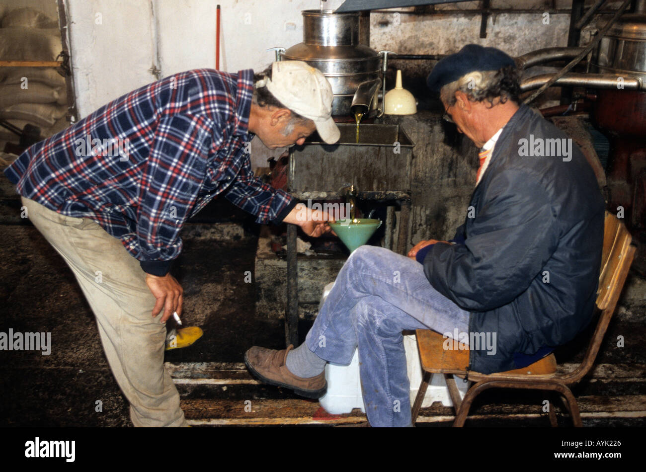 greece cyclades sikinos greek agriculture olive oil production inside the olive press the oil