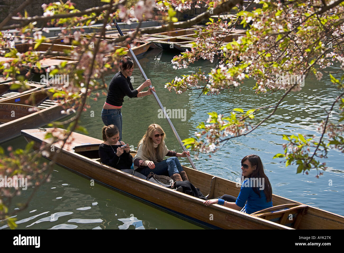 Punting on the cam in spring..Cambridge Stock Photo