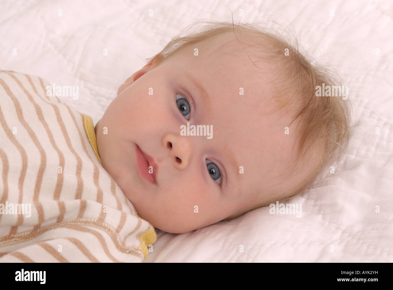 Portrait of a baby boy Stock Photo - Alamy