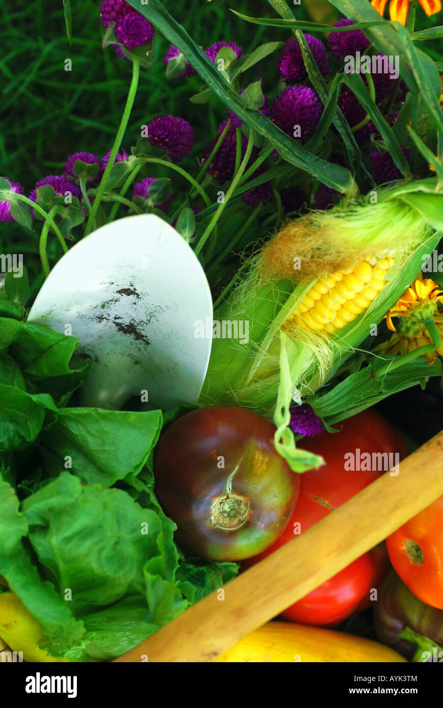 Wicker basket filled with fruits vegetables and flower fresh from the ...