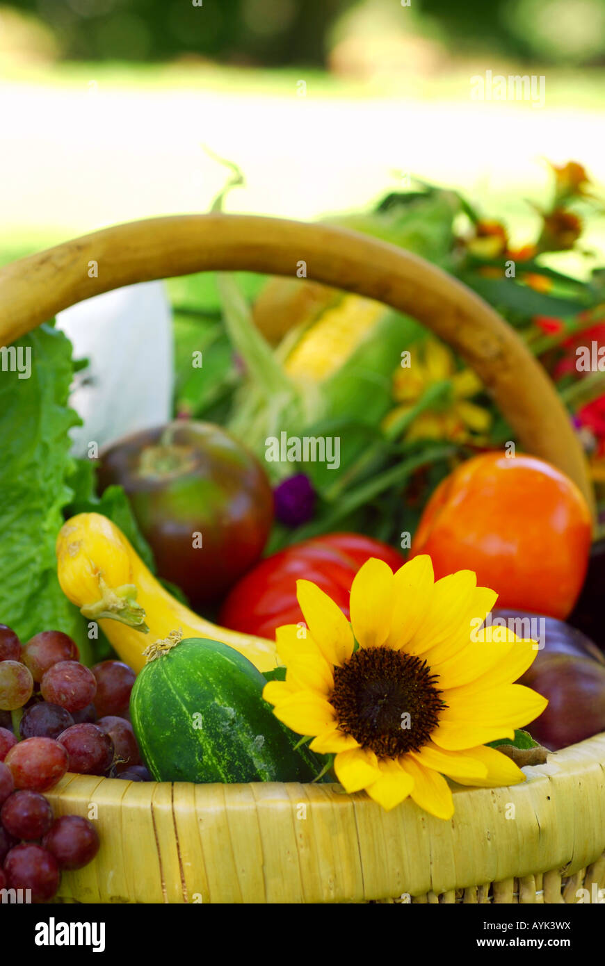 Wicker basket filled with fruits vegetables and flower fresh from the ...
