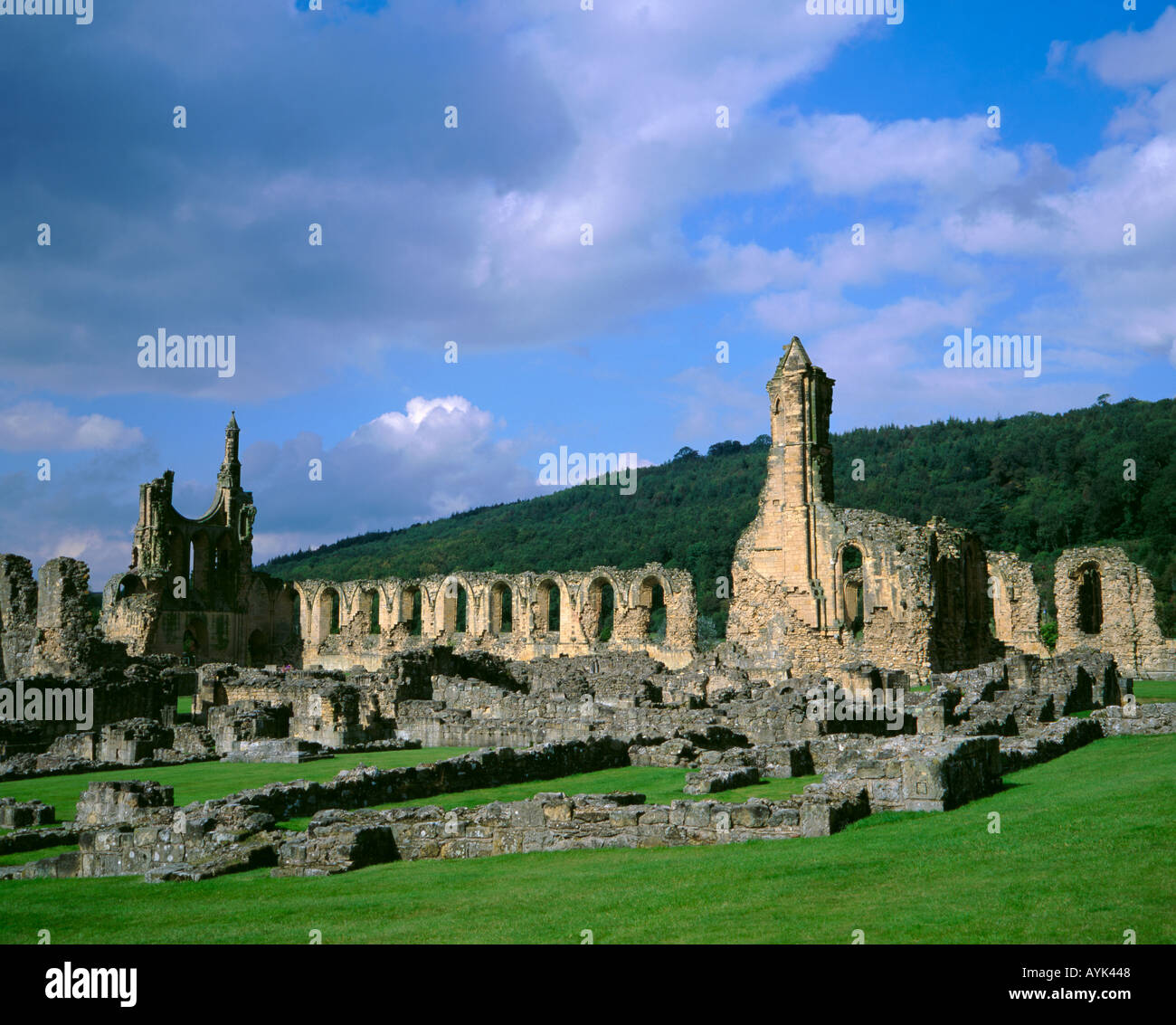 Ruins of Byland Abbey, near the village of Coxwold, North Yorkshire, England, UK Stock Photo