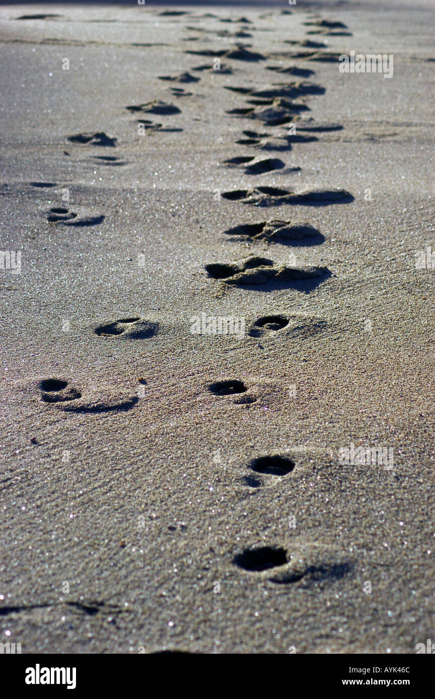 foorprints on the beach Stock Photo