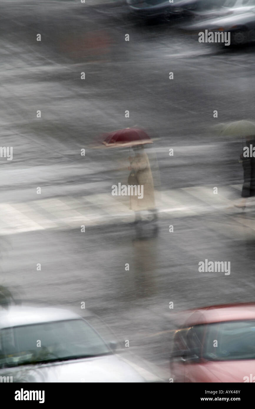 woman crossing road with umbrella in rain Stock Photo - Alamy