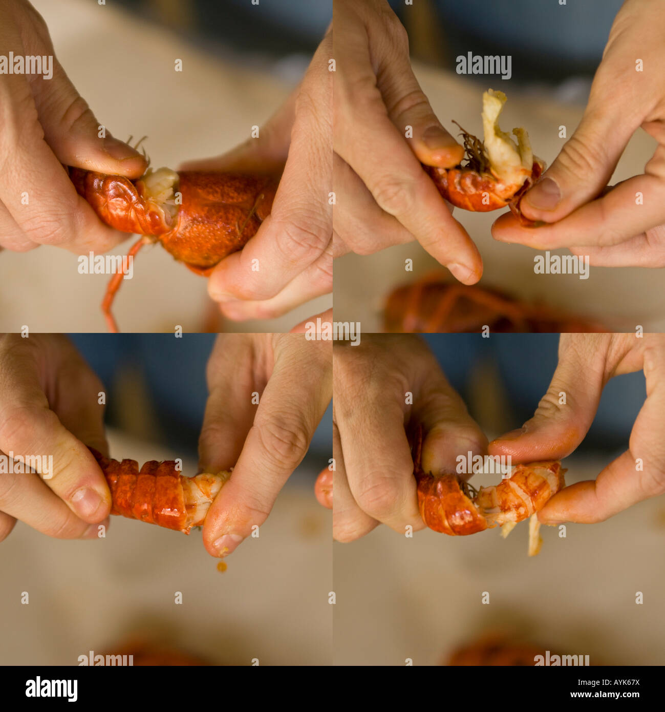 Sequence peeling crawfish Stock Photo Alamy