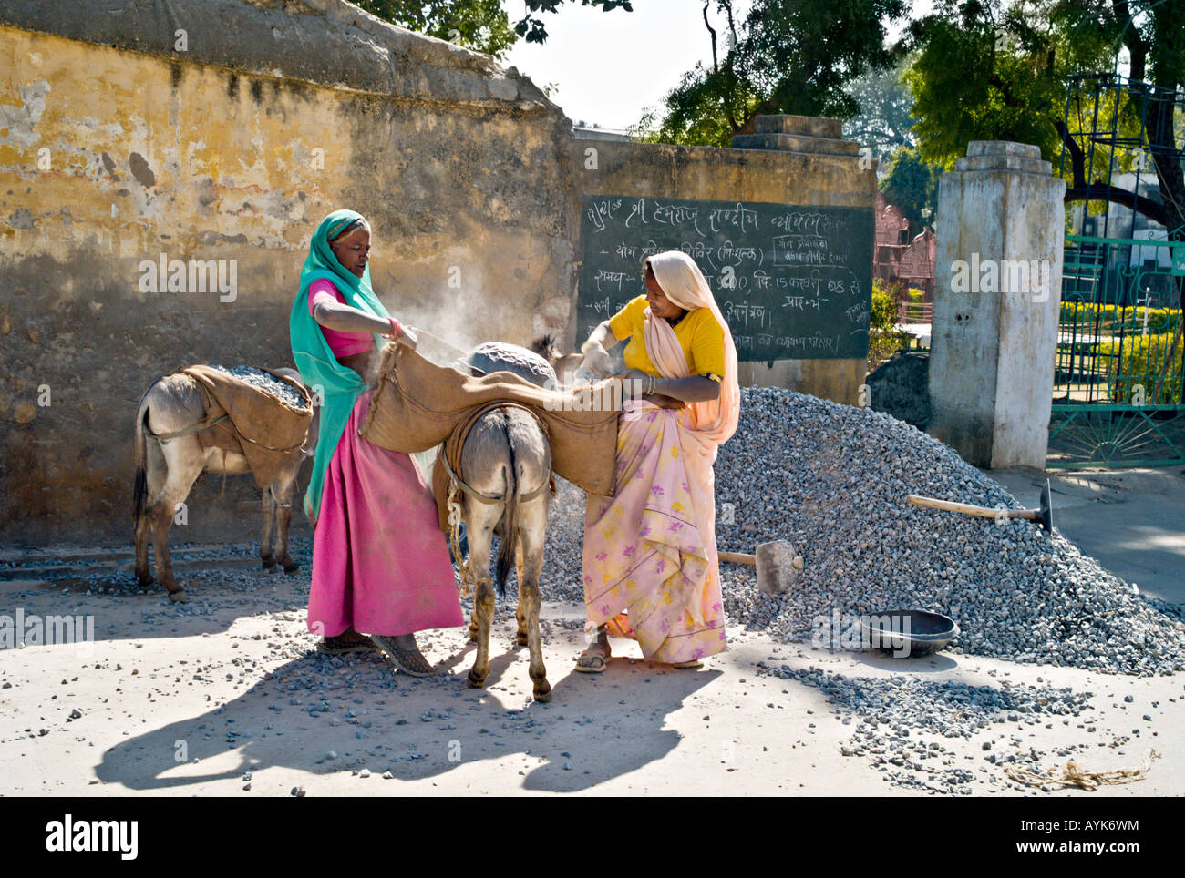 INDIA UDAIPUR Two Indian women dressed in beautiful bright colored saris work road construction loading gravel on donkeys Stock Photo