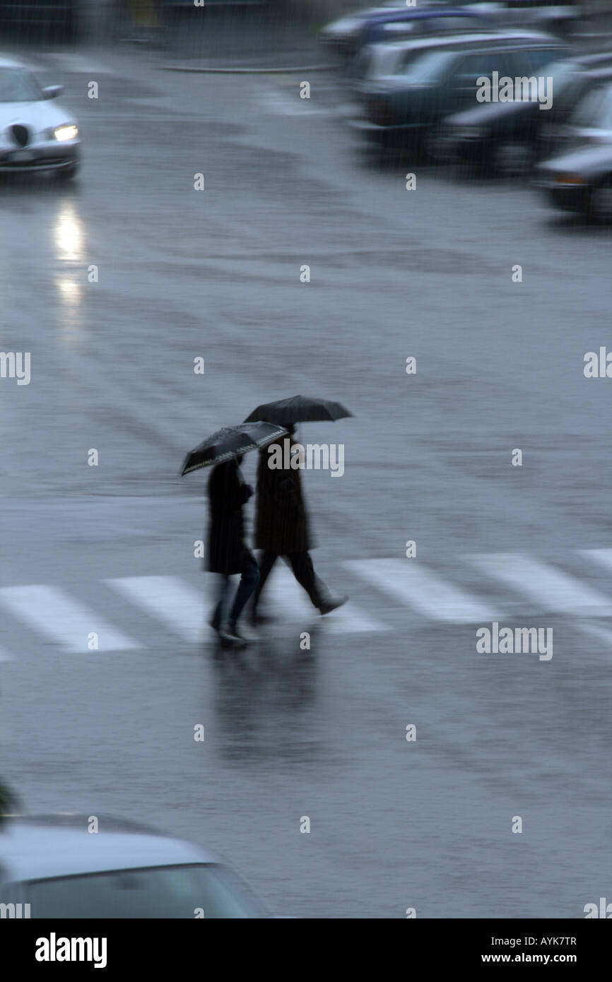 people with umbrellas crossing road in rain Stock Photo - Alamy