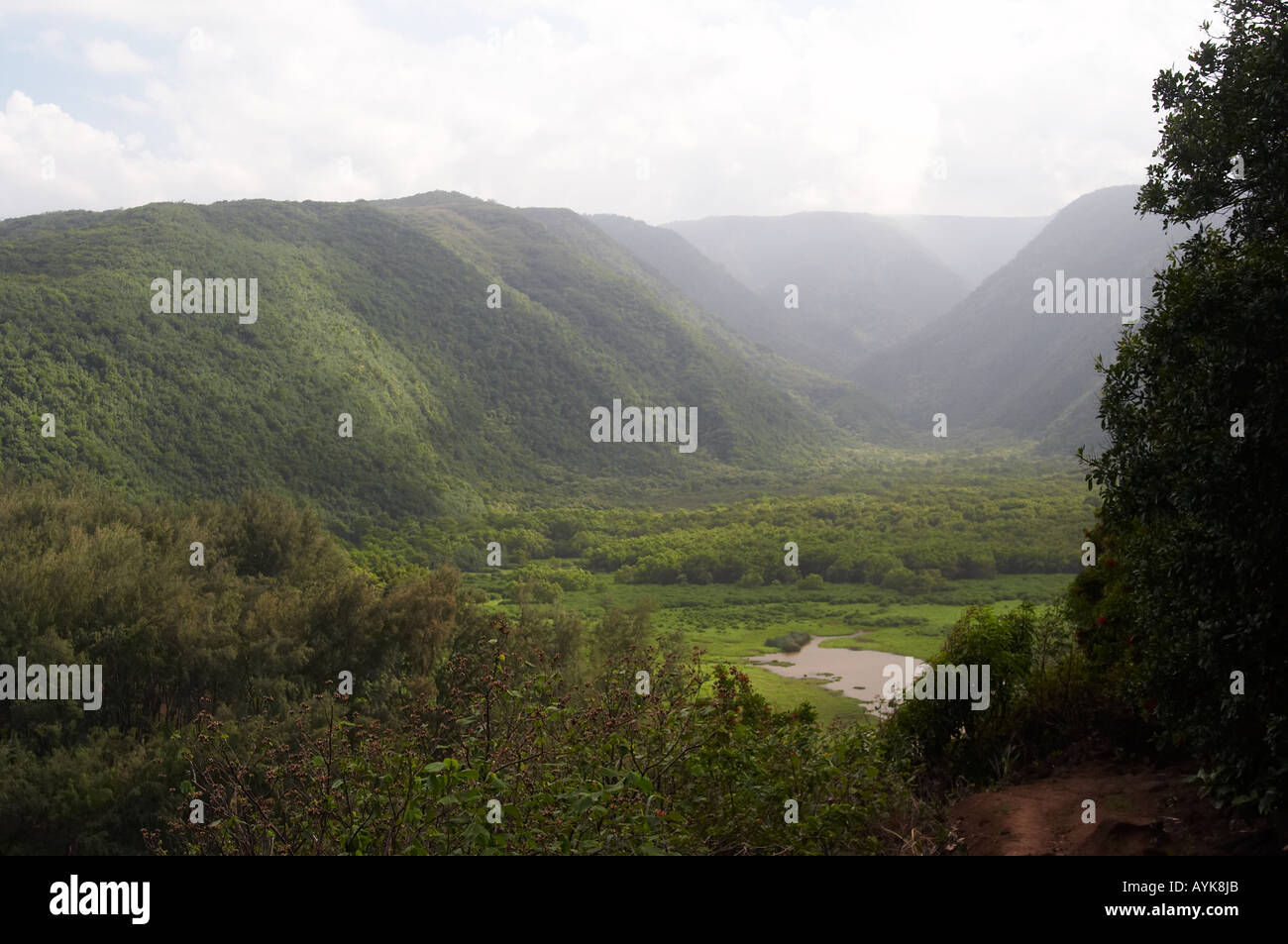Lush pololu valley, Hawaii Stock Photo Alamy