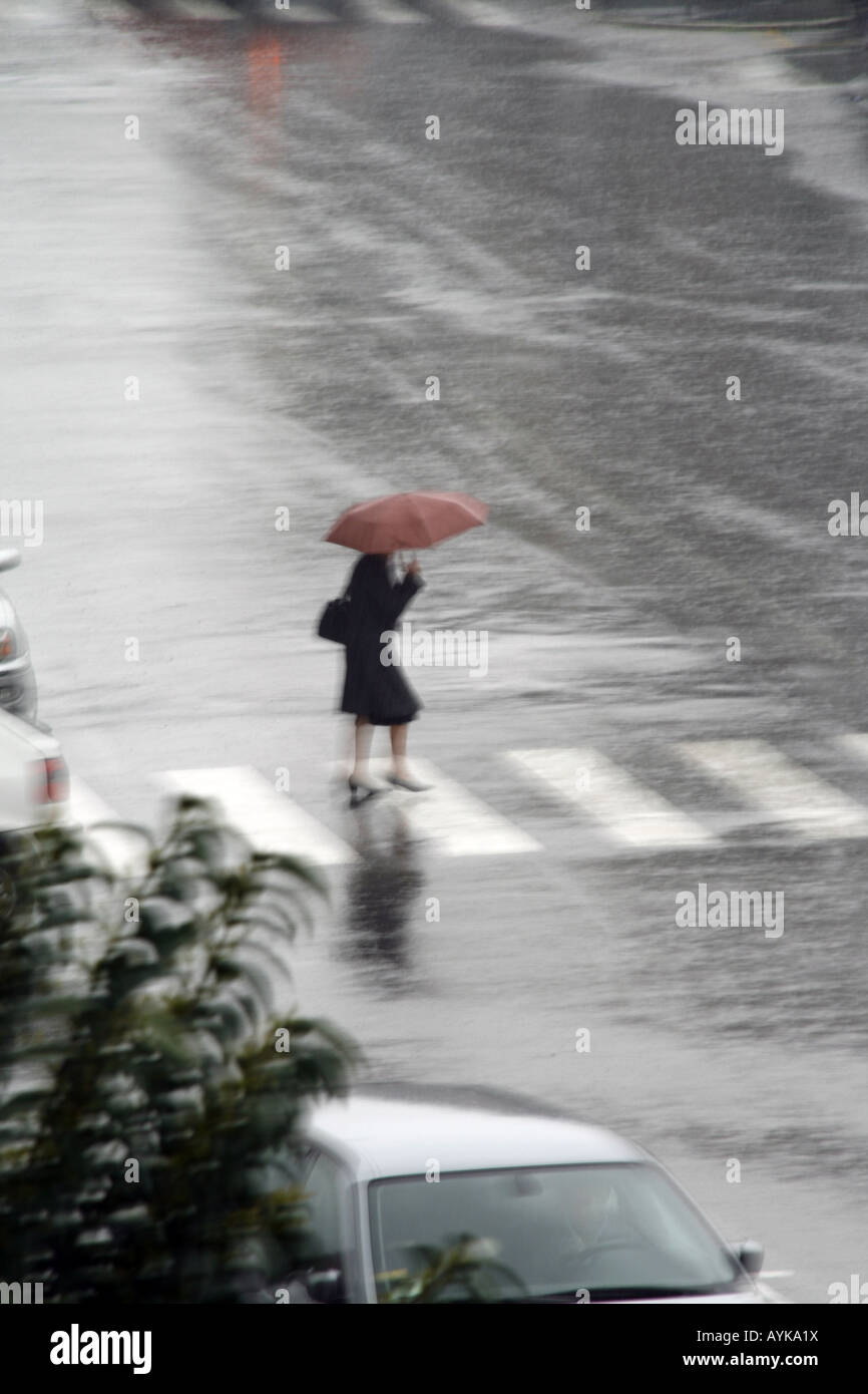 woman crossing road with umbrella in rain Stock Photo - Alamy