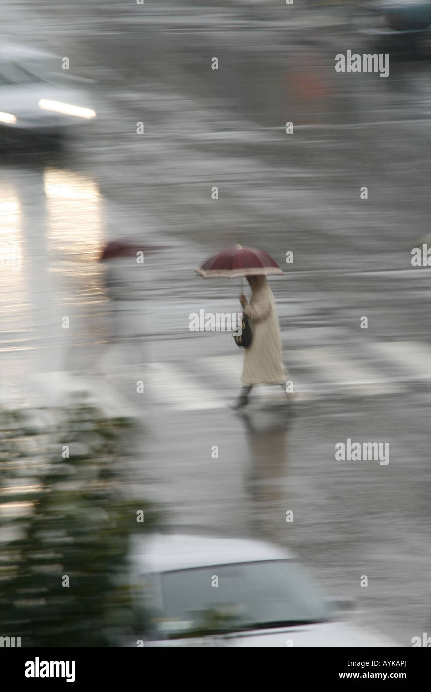 woman crossing road with umbrella in rain Stock Photo - Alamy