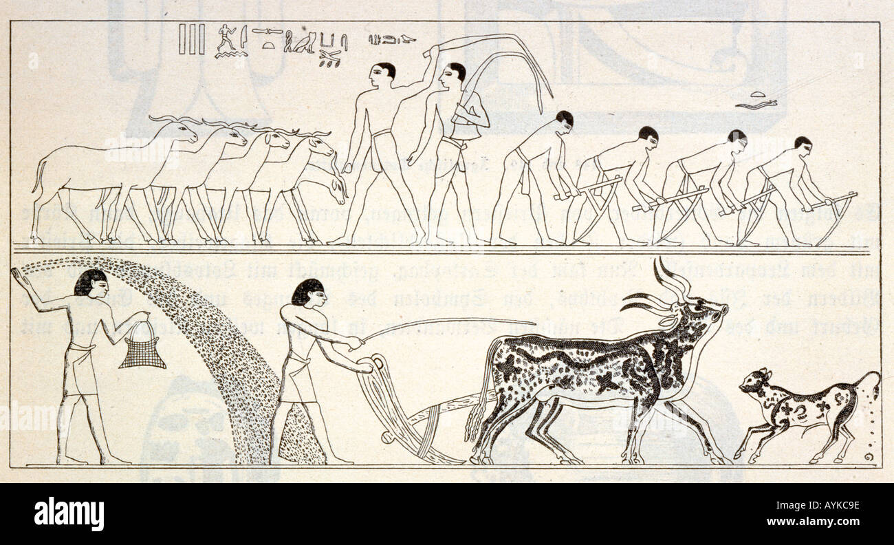 Ancient Egypt Farming Stock Photo
